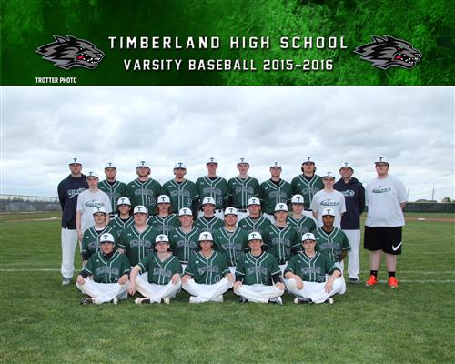 Baseball 2016